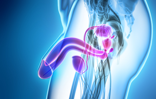 erectile dysfunction